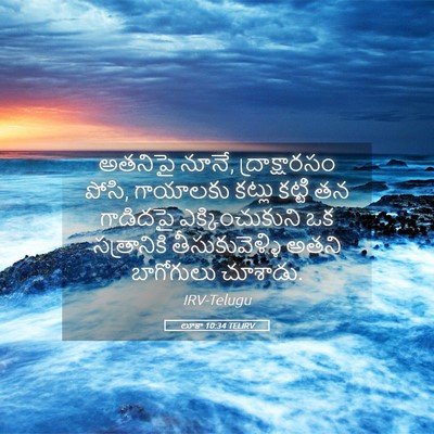 Picture 05 - లూకా 10:34 TELIRV - అతనిపై నూనే, - Bible Verse Picture