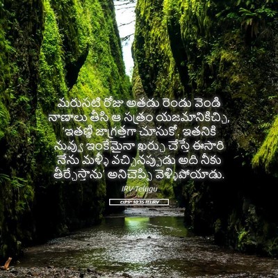 Picture 05 - లూకా 10:35 TELIRV - మరుసటి రోజు అతడు - Bible Verse Picture