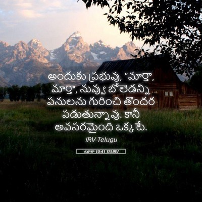 Picture 05 - లూకా 10:41 TELIRV - అందుకు ప్రభువు, - Bible Verse Picture