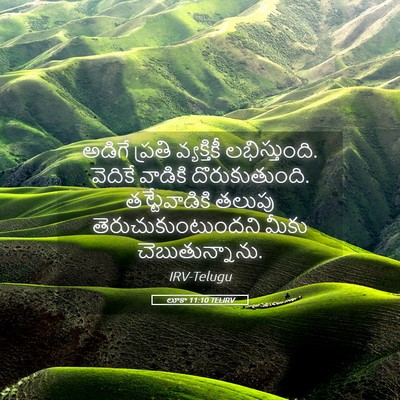 Picture 05 - లూకా 11:10 TELIRV - అడిగే ప్రతి - Bible Verse Picture