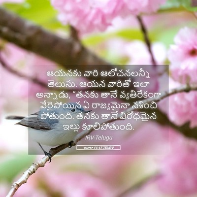 Picture 05 - లూకా 11:17 TELIRV - ఆయనకు వారి - Bible Verse Picture