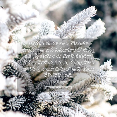 Picture 05 - లూకా 11:27 TELIRV - ఆయన ఈ మాటలు చెబుతూ - Bible Verse Picture