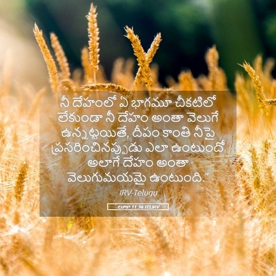 Picture 05 - లూకా 11:36 TELIRV - నీ దేహంలో ఏ భాగమూ - Bible Verse Picture
