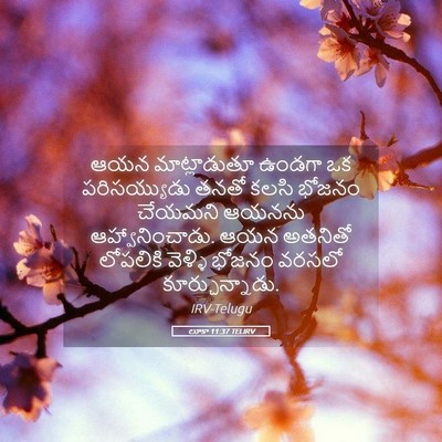 Picture 05 - లూకా 11:37 TELIRV - ఆయన మాట్లాడుతూ - Bible Verse Picture