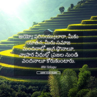 Picture 05 - లూకా 11:43 TELIRV - అయ్యో - Bible Verse Picture