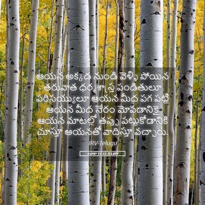 Picture 05 - లూకా 11:53 TELIRV - ఆయన అక్కడ నుండి - Bible Verse Picture