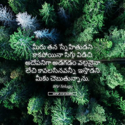 Picture 05 - లూకా 11:8 TELIRV - మీరు తన - Bible Verse Picture