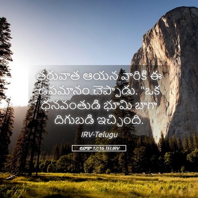 Picture 05 - లూకా 12:16 TELIRV - తరువాత ఆయన వారికి - Bible Verse Picture