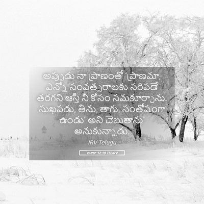 Picture 05 - లూకా 12:19 TELIRV - అప్పుడు నా - Bible Verse Picture