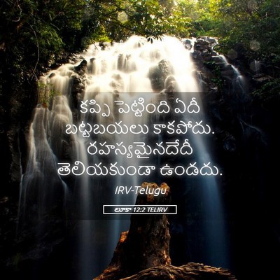 Picture 05 - లూకా 12:2 TELIRV - కప్పి పెట్టింది - Bible Verse Picture