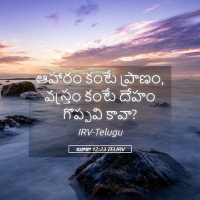 Picture 05 - లూకా 12:23 TELIRV - ఆహారం కంటే ప్రాణం, - Bible Verse Picture