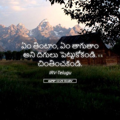 Picture 05 - లూకా 12:29 TELIRV - ఏం తింటాం, ఏం - Bible Verse Picture