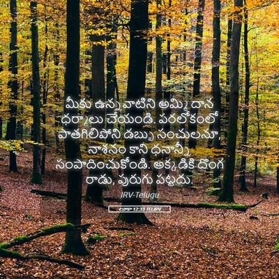 Picture 05 - లూకా 12:33 TELIRV - మీకు ఉన్నవాటిని - Bible Verse Picture