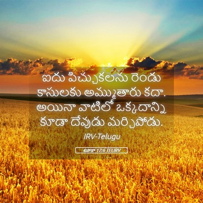 Picture 05 - లూకా 12:6 TELIRV - ఐదు పిచ్చుకలను - Bible Verse Picture