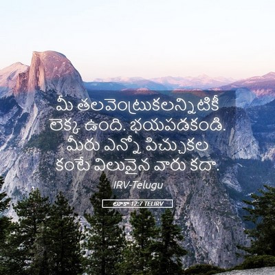 Picture 05 - లూకా 12:7 TELIRV - మీ - Bible Verse Picture