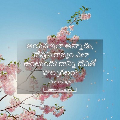 Picture 05 - లూకా 13:18 TELIRV - ఆయన ఇలా అన్నాడు, - Bible Verse Picture