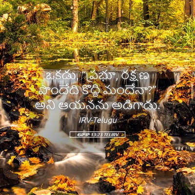 Picture 05 - లూకా 13:23 TELIRV - ఒకడు, “ప్రభూ, రక్షణ - Bible Verse Picture