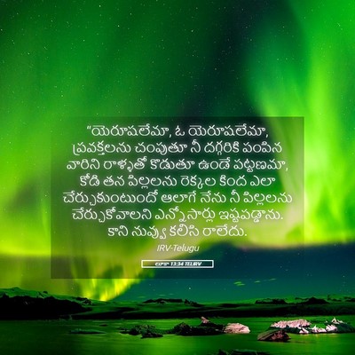 Picture 05 - లూకా 13:34 TELIRV - “యెరూషలేమా, ఓ - Bible Verse Picture