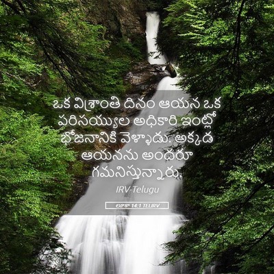 Picture 05 - లూకా 14:1 TELIRV - ఒక విశ్రాంతి దినం - Bible Verse Picture