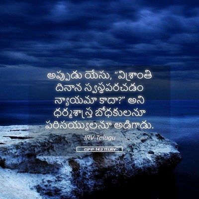 Picture 05 - లూకా 14:3 TELIRV - అప్పుడు యేసు, - Bible Verse Picture