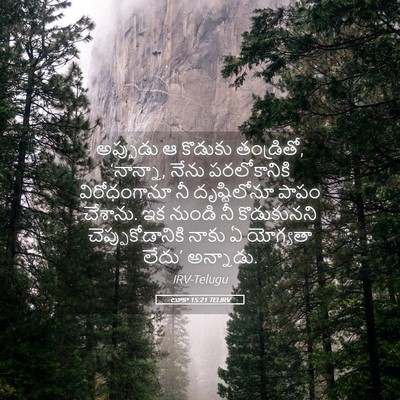 Picture 05 - లూకా 15:21 TELIRV - అప్పుడు ఆ కొడుకు - Bible Verse Picture
