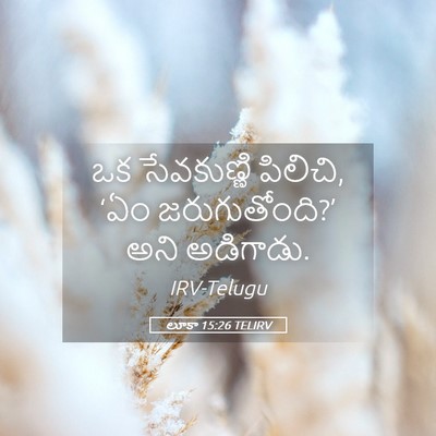 Picture 05 - లూకా 15:26 TELIRV - ఒక సేవకుణ్ణి - Bible Verse Picture