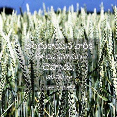Picture 05 - లూకా 15:3 TELIRV - అందుకాయన వారికి ఈ - Bible Verse Picture