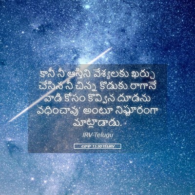 Picture 05 - లూకా 15:30 TELIRV - కానీ నీ ఆస్తిని - Bible Verse Picture