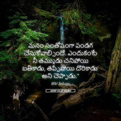 Picture 05 - లూకా 15:32 TELIRV - మనం సంతోషంగా పండగ - Bible Verse Picture