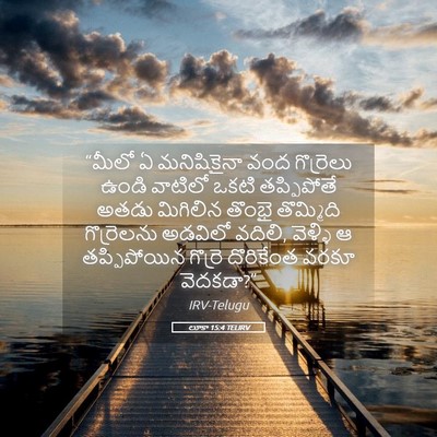 Picture 05 - లూకా 15:4 TELIRV - “మీలో ఏ మనిషికైనా - Bible Verse Picture