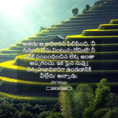 Picture 05 - లూకా 16:2 TELIRV - అతడు ఆ అధికారిని - Bible Verse Picture