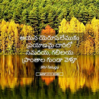 Picture 05 - లూకా 17:11 TELIRV - ఆయన యెరూషలేముకు - Bible Verse Picture
