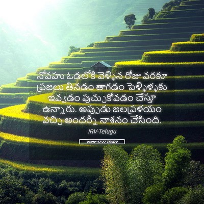 Picture 05 - లూకా 17:27 TELIRV - నోవహు ఓడలోకి - Bible Verse Picture