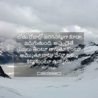 Picture 05 - లూకా 17:28 TELIRV - లోతు రోజుల్లో - Bible Verse Picture