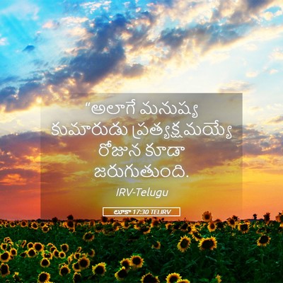 Picture 05 - లూకా 17:30 TELIRV - “అలాగే మనుష్య - Bible Verse Picture
