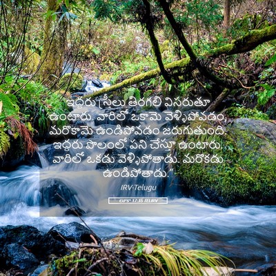 Picture 05 - లూకా 17:35 TELIRV - ఇద్దరు స్త్రీలు - Bible Verse Picture
