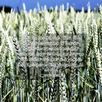 Picture 05 - లూకా 18:11 TELIRV - పరిసయ్యుడు - Bible Verse Picture