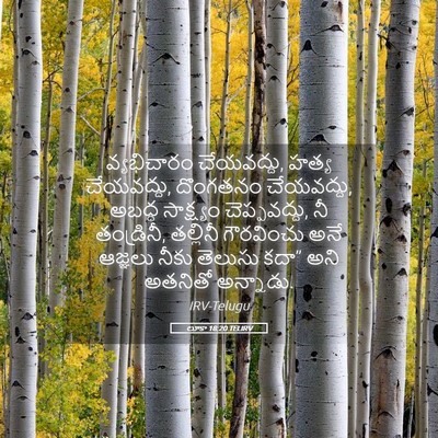Picture 05 - లూకా 18:20 TELIRV - వ్యభిచారం - Bible Verse Picture
