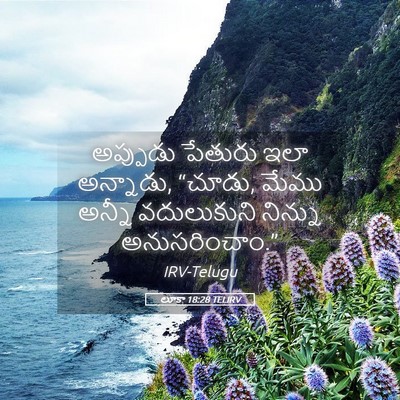 Picture 05 - లూకా 18:28 TELIRV - అప్పుడు పేతురు - Bible Verse Picture