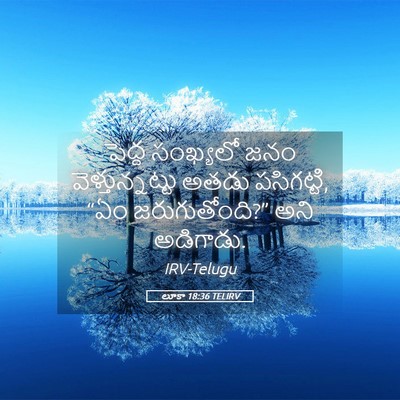 Picture 05 - లూకా 18:36 TELIRV - పెద్ద సంఖ్యలో జనం - Bible Verse Picture