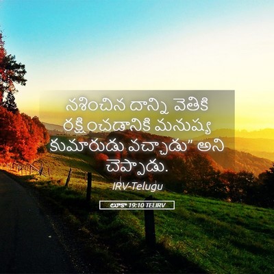 Picture 05 - లూకా 19:10 TELIRV - నశించిన దాన్ని - Bible Verse Picture