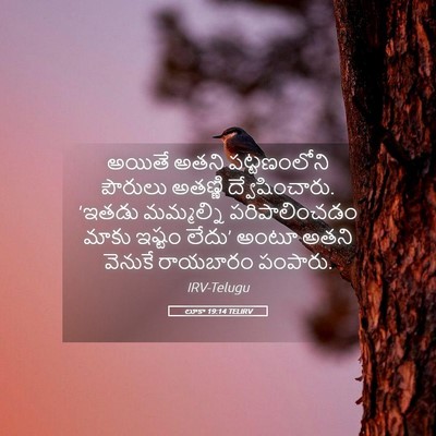 Picture 05 - లూకా 19:14 TELIRV - అయితే అతని - Bible Verse Picture