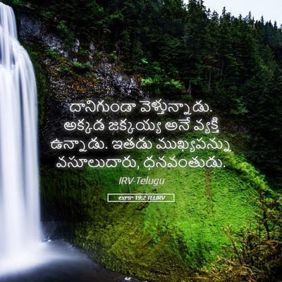 Picture 05 - లూకా 19:2 TELIRV - దానిగుండా - Bible Verse Picture