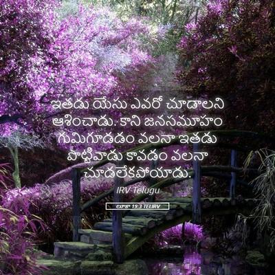 Picture 05 - లూకా 19:3 TELIRV - ఇతడు యేసు ఎవరో - Bible Verse Picture