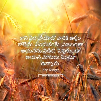 Picture 05 - లూకా 19:48 TELIRV - కాని ఏం చేయాలో - Bible Verse Picture