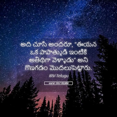 Picture 05 - లూకా 19:7 TELIRV - అది చూసి అందరూ, - Bible Verse Picture