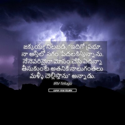 Picture 05 - లూకా 19:8 TELIRV - జక్కయ్య నిలబడి, - Bible Verse Picture