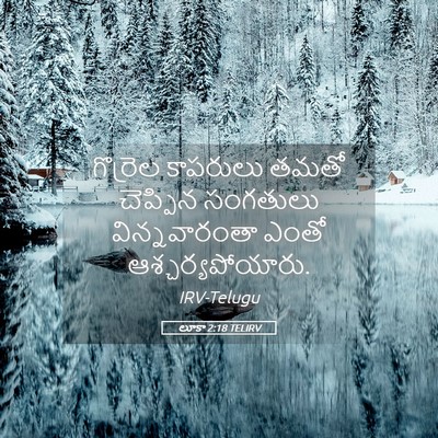 Picture 05 - లూకా 2:18 TELIRV - గొర్రెల కాపరులు - Bible Verse Picture