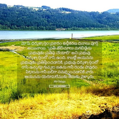 Picture 05 - లూకా 2:22 TELIRV - మోషే ధర్మశాస్త్రం - Bible Verse Picture