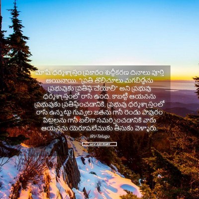 Picture 05 - లూకా 2:23 TELIRV - మోషే ధర్మశాస్త్రం - Bible Verse Picture